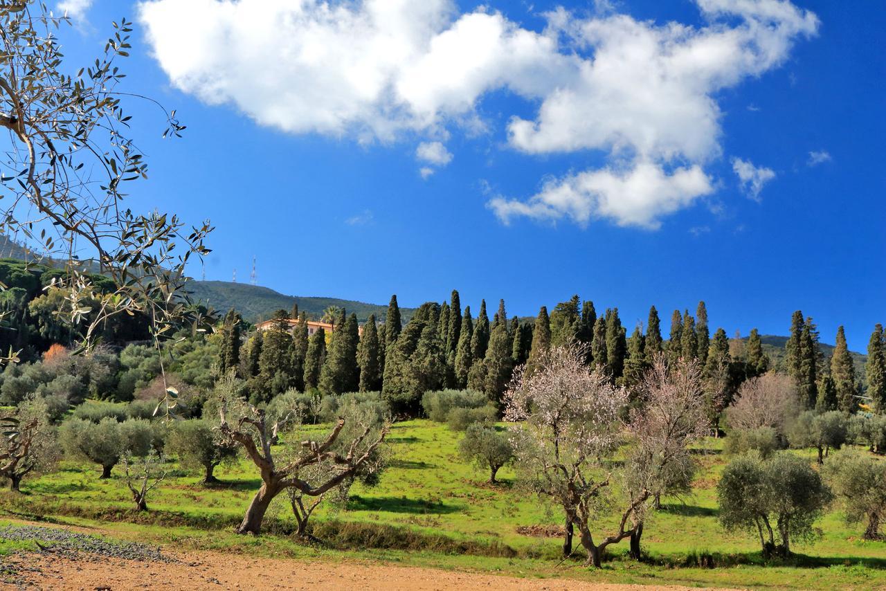 Agriturismo Pimpinnacolo 포르투 에르콜레 외부 사진