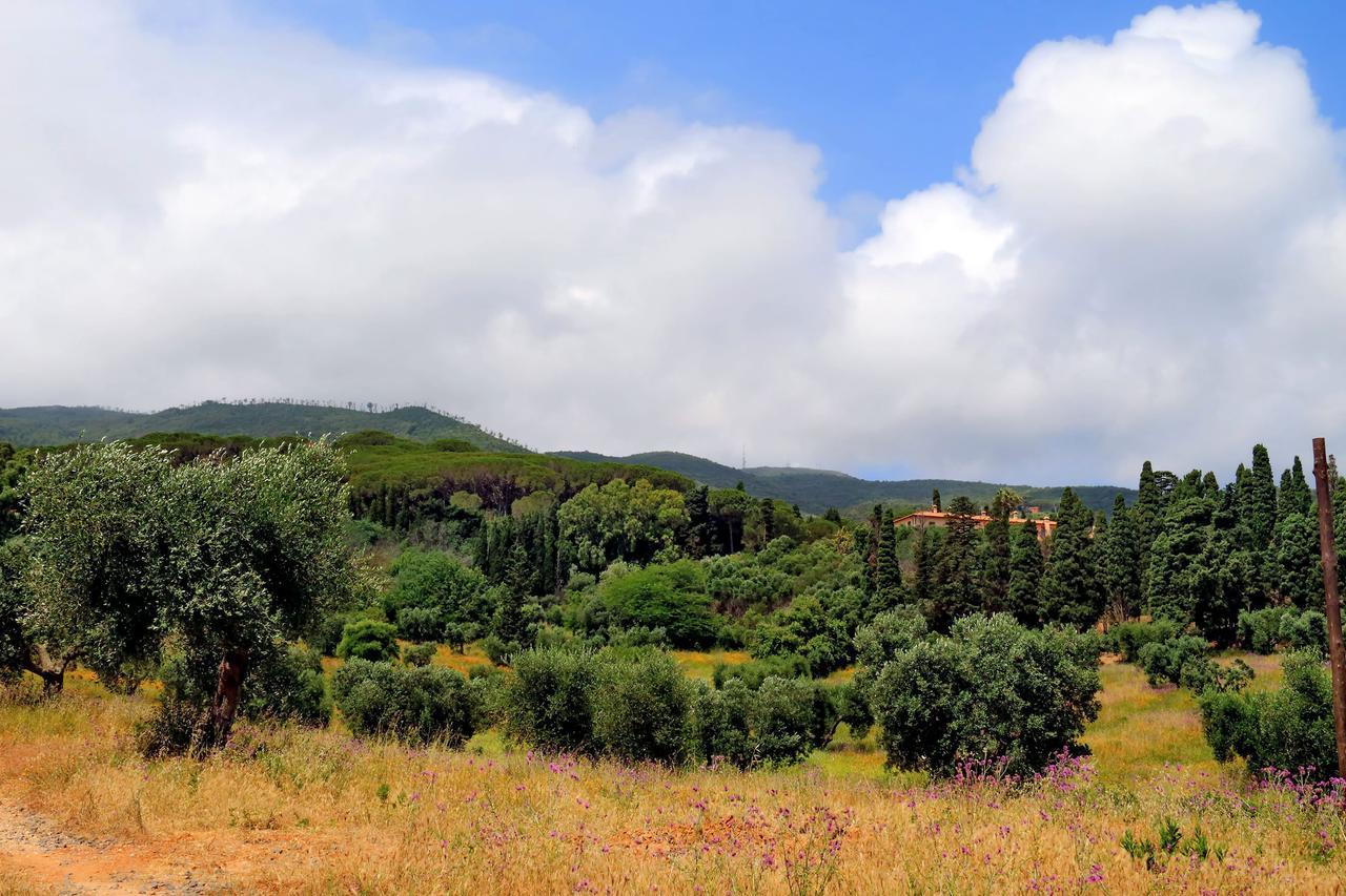 Agriturismo Pimpinnacolo 포르투 에르콜레 외부 사진