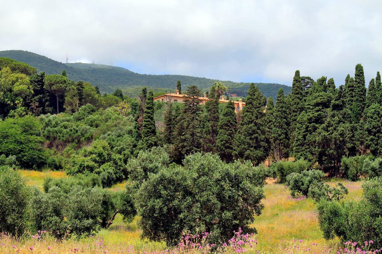 Agriturismo Pimpinnacolo 포르투 에르콜레 외부 사진