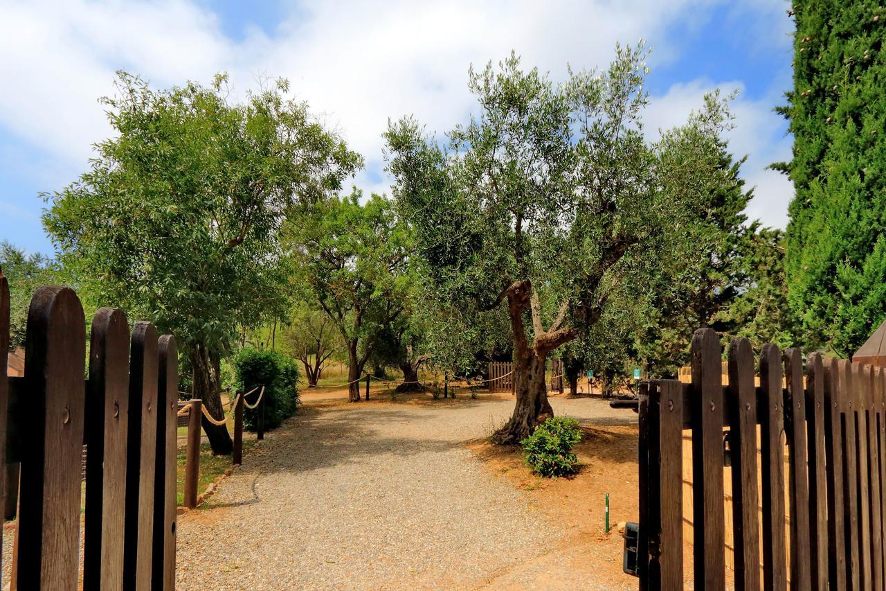 Agriturismo Pimpinnacolo 포르투 에르콜레 외부 사진