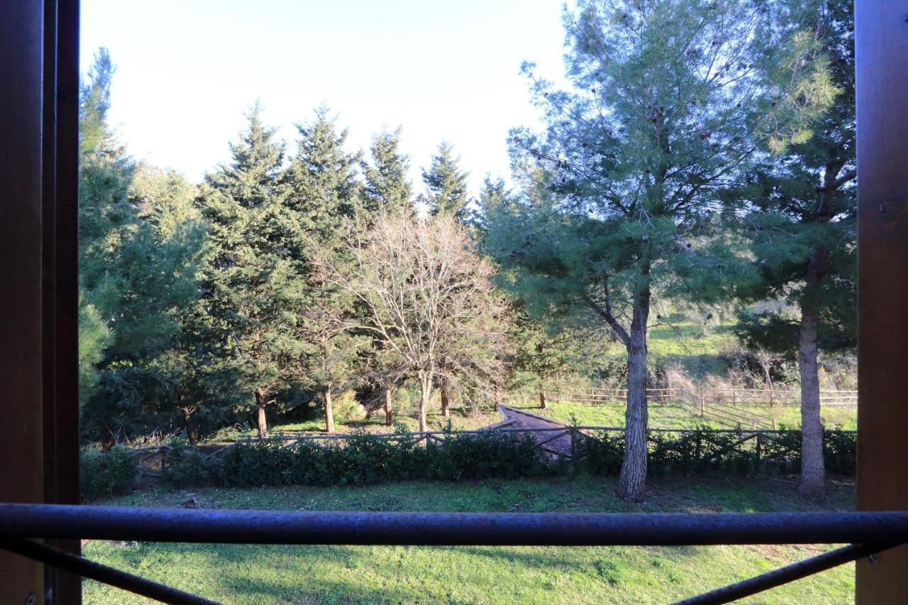 Agriturismo Pimpinnacolo 포르투 에르콜레 외부 사진